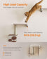 Collection - No.004 Cat Stairs for Wall FredCo