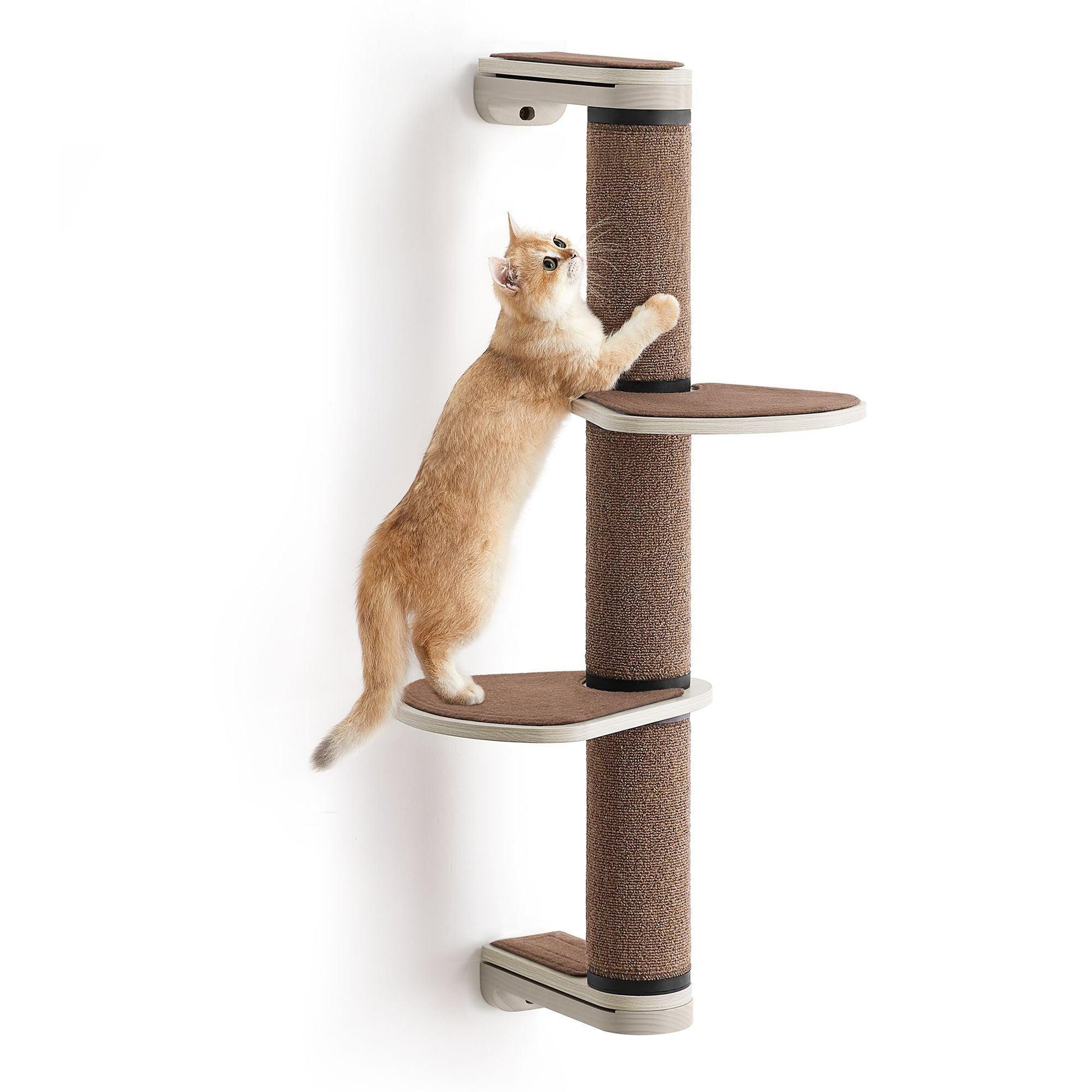 Collection - No.006 Cat Scratching Post for Wall FredCo