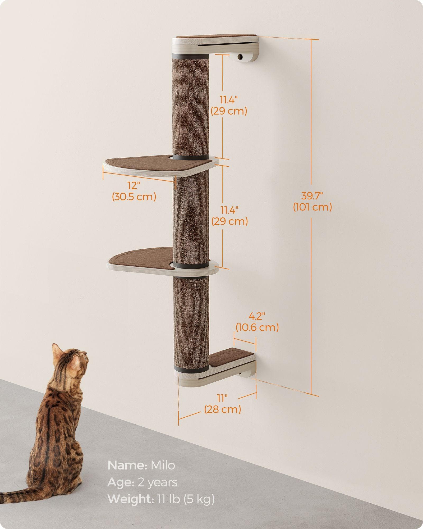 Collection - No.006 Cat Scratching Post for Wall FredCo