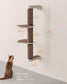 Collection - No.006 Cat Scratching Post for Wall FredCo