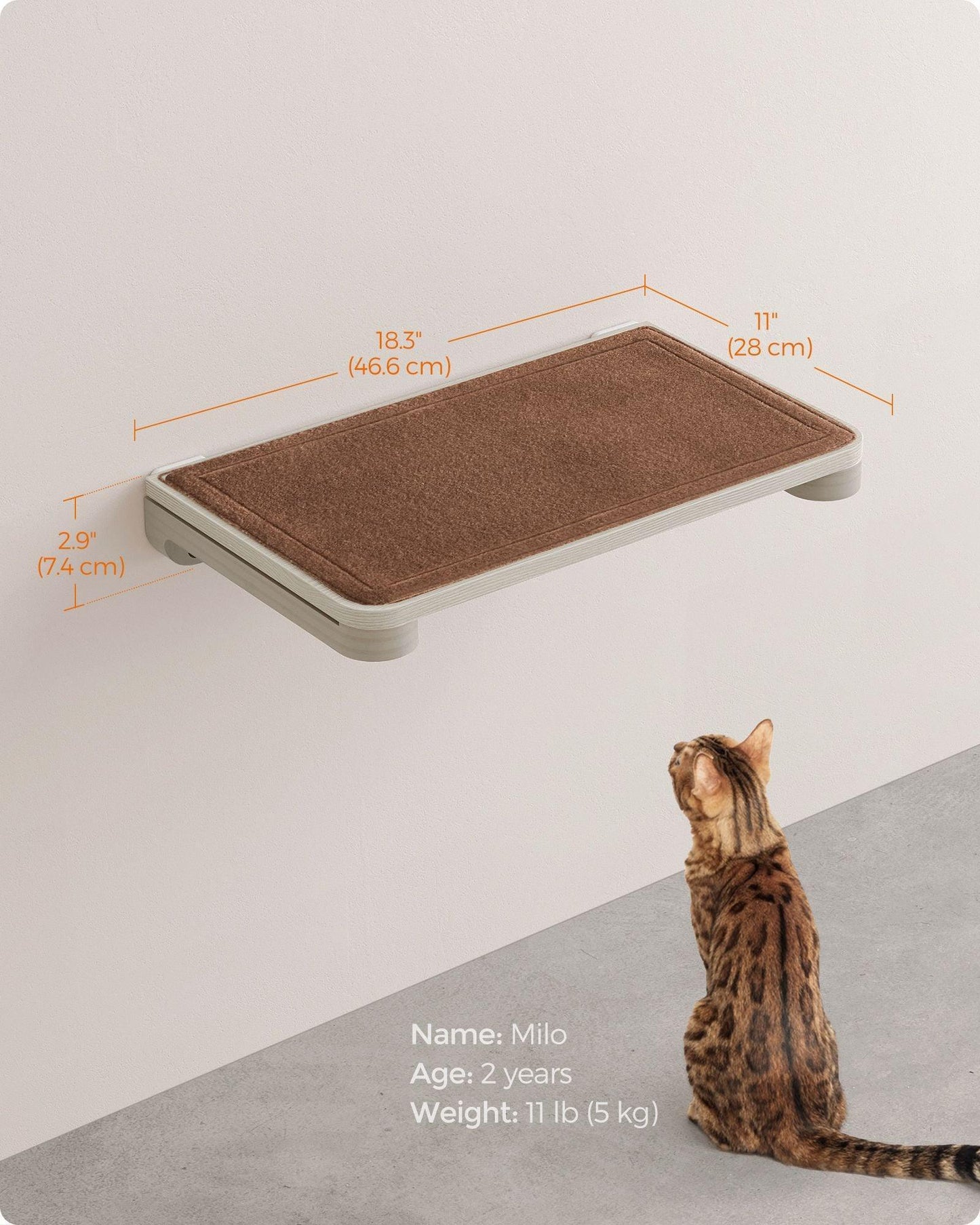 Collection - No.007 Cat Shelf for Wall FredCo