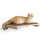 Collection - No.007 Cat Shelf for Wall FredCo