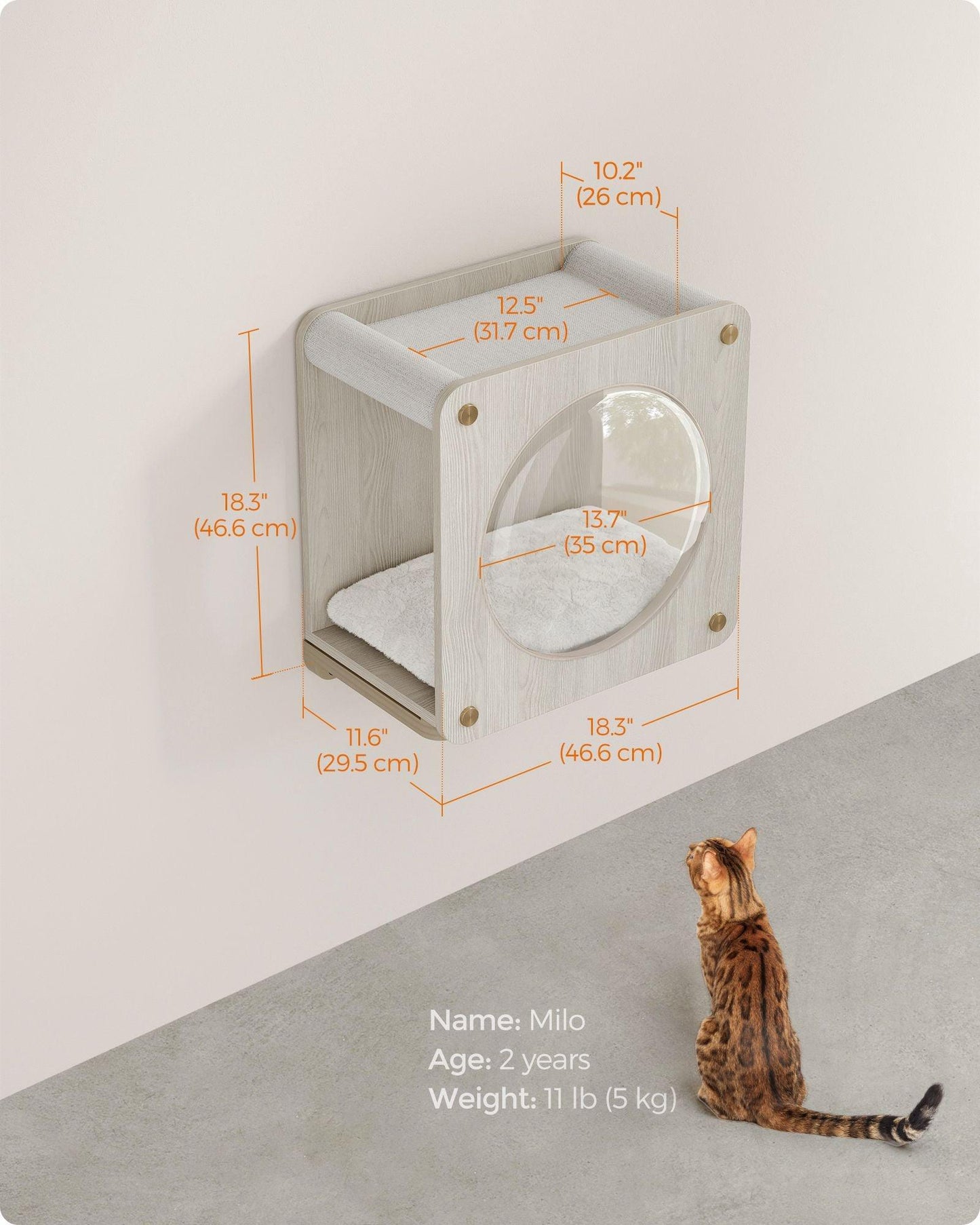 Collection - No.010 Cat Cave for Wall FredCo