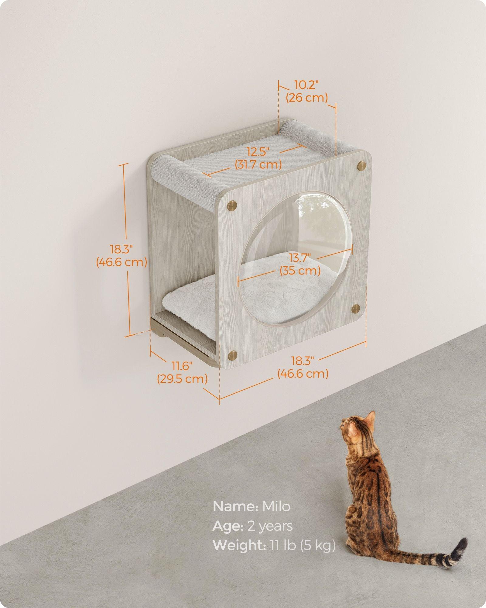 Collection - No.010 Cat Cave for Wall FredCo