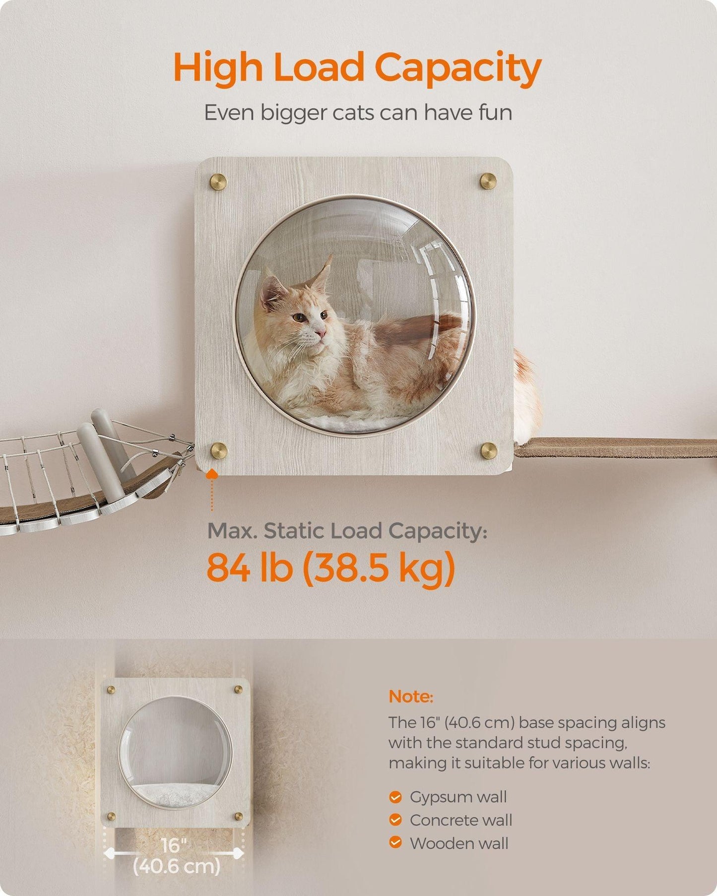 Collection - No.010 Cat Cave for Wall FredCo