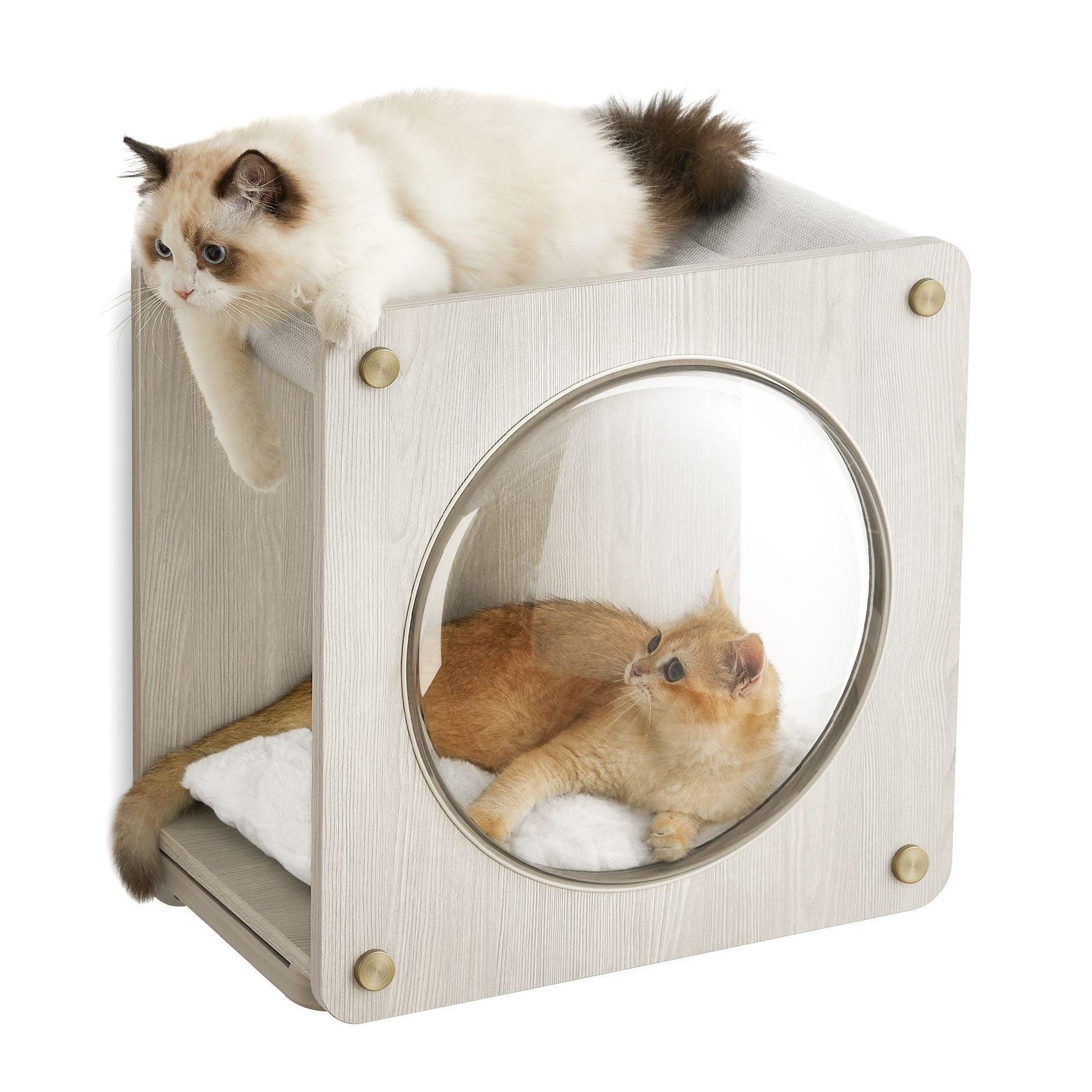Collection - No.010 Cat Cave for Wall FredCo