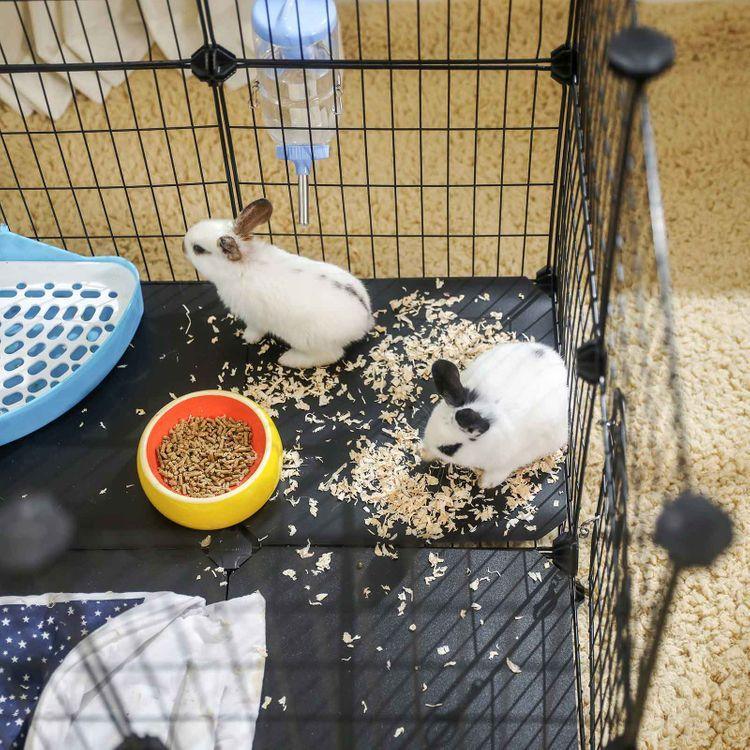 Customizable Pet Playpen FredCo