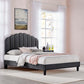 Daisy Performance Velvet Queen Platform Bed, MOD-6287 FredCo