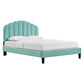 Daisy Performance Velvet Queen Platform Bed, MOD-6287 FredCo