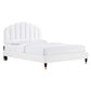 Daisy Performance Velvet Queen Platform Bed, MOD-6288 FredCo