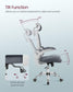 Ergonomic Design High Back Desk Chair FredCo