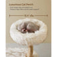 Feandrea Modern Wood Cat Tree FredCo