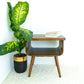 Mid-century modern wood side table with books, indoor plant, and white rug