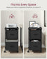 File Cabinet with 2 Drawers Ebony Black and Ink Black FredCo