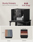 File Cabinet with 2 Drawers Ebony Black and Ink Black FredCo