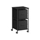 File Cabinet with 2 Drawers Ebony Black and Ink Black FredCo