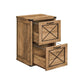 File Cabinet with 2 File Drawers FredCo