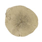 Gene Natural Brown Finish Fiber Concrete Accent Table FredCo
