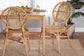 Iris Modern Bohemian Natural Brown Rattan Dining Chair FredCo