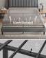 LED Bed Frame Queen Size FredCo