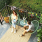 Light Green 3-Piece Outdoor Acapulco Chair FredCo