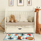 Lil Flyer Non-Slip Kids' Rug FredCo