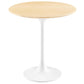 Lippa 20" Round Side Table, EEI-5679 FredCo