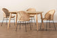 Lisa Modern Bohemian Natural Brown Rattan and Black Metal 5-Piece Dining Set FredCo