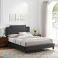 Liva Performance Velvet Twin Bed, MOD-6796 FredCo