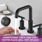Matte Black Widespread Bathroom Faucet 3 Holes 2 Handles Vanity Sink Faucet FredCo