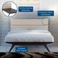 Modway Addison Queen Bed FredCo