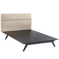 Modway Addison Queen Bed FredCo