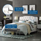 Modway Amelia Queen Faux Leather Bed FredCo