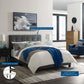 Modway Amira Twin Performance Velvet Bed FredCo