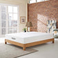 Modway Aveline 10" California King Mattress FredCo