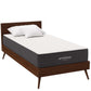 Modway Aveline 10" Twin Mattress FredCo