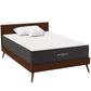 Modway Aveline 12" Memory Foam Full Mattress FredCo
