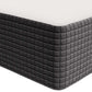 Modway Aveline 12" Memory Foam Queen Mattress FredCo