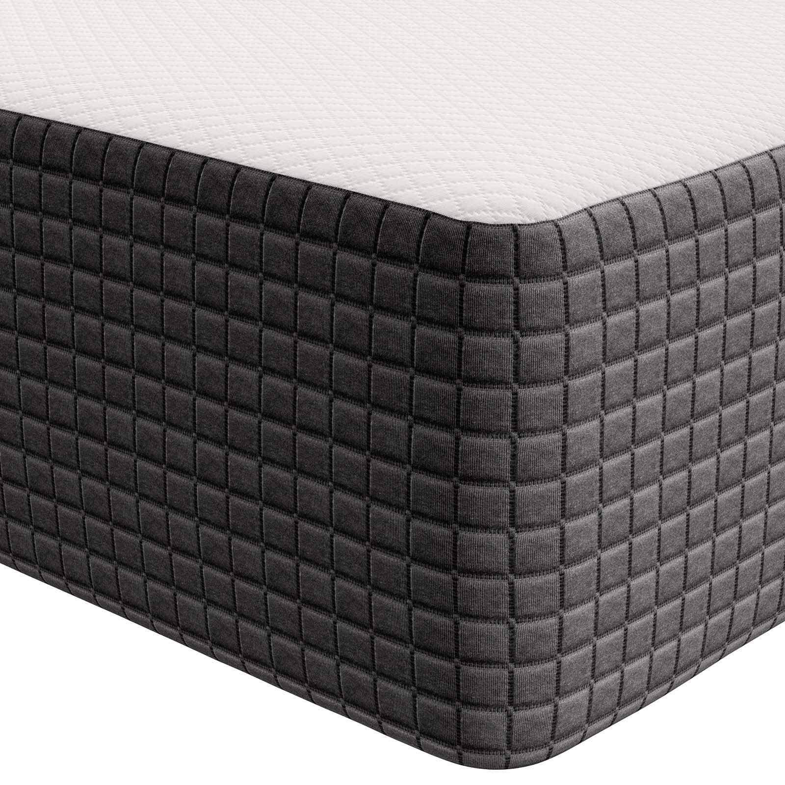 Modway Aveline 12" Memory Foam Twin Mattress FredCo