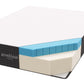 Modway Aveline 12" Memory Foam Twin Mattress FredCo