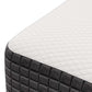 Modway Aveline 16" Memory Foam Mattress FredCo