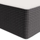 Modway Aveline 16" Memory Foam Mattress FredCo