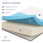 Modway Aveline 16" Memory Foam Mattress FredCo