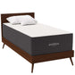 Modway Aveline 16" Memory Foam Mattress FredCo