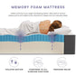 Modway Aveline 16" Memory Foam Mattress FredCo