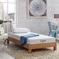 Modway Aveline 6" Narrow Twin Mattress FredCo