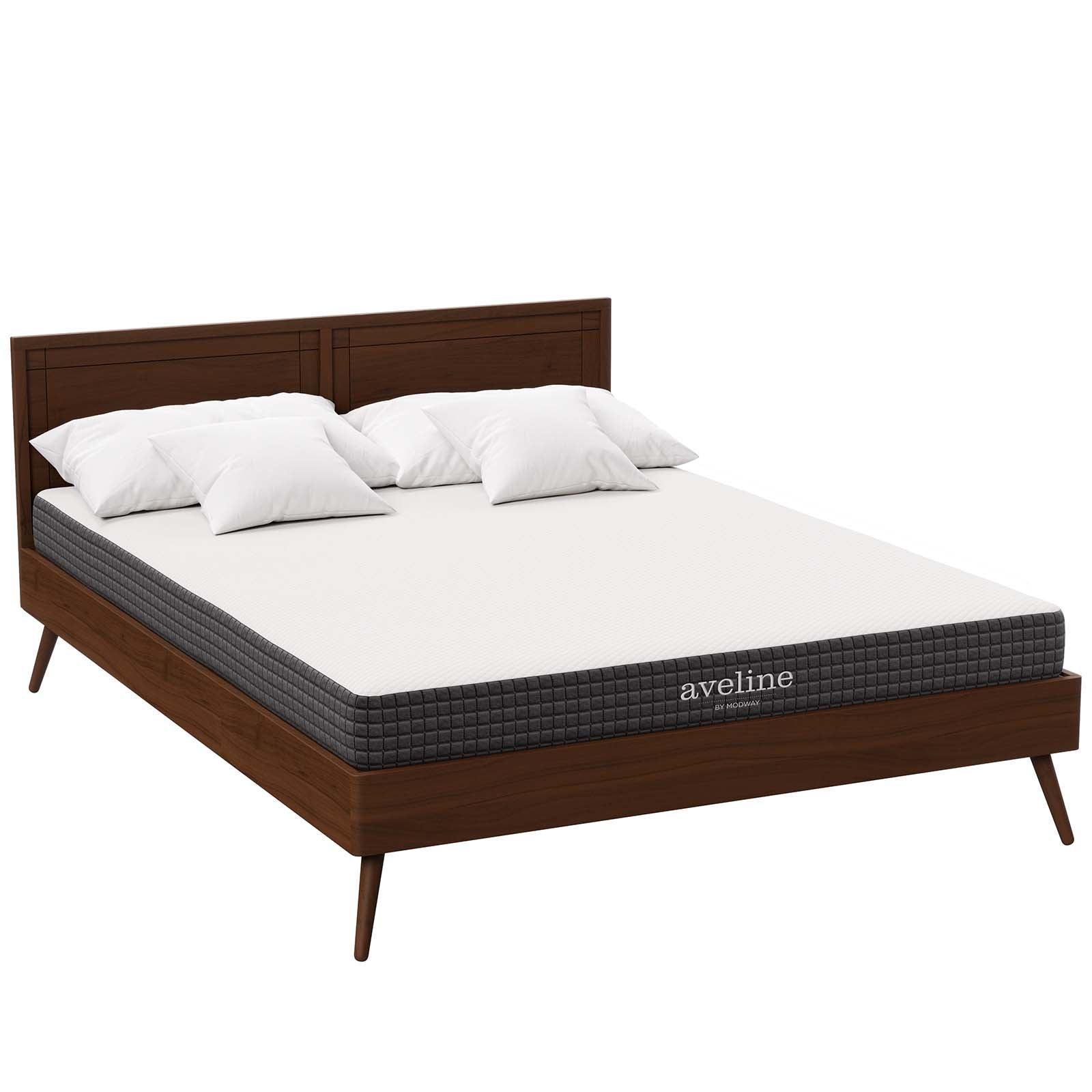 Modway Aveline 6" Queen Mattress FredCo