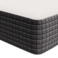 Modway Aveline 8" Memory Foam Mattress FredCo