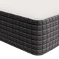 Modway Aveline 8" Twin XL Mattress, MOD-7107 FredCo