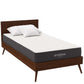Modway Aveline 8" Twin XL Mattress, MOD-7107 FredCo